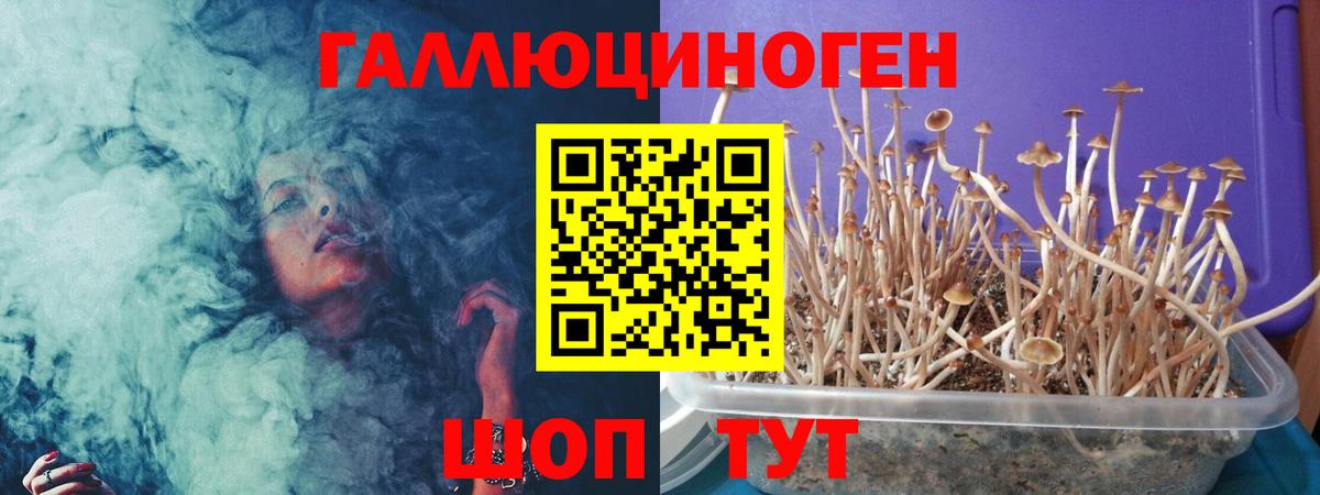 Псилоцибиновые грибы MAGIC MUSHROOMS Новомосковск